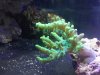 20130419_194525.jpg