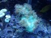 20130226_083452.jpg