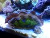 20130512_161516.jpg