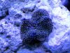 2013-06-06_13-27-16.jpg