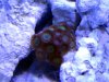 2013-06-06_13-26-56.jpg