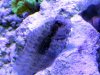 2013-06-06_13-26-32.jpg