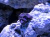 2013-06-06_13-25-18.jpg