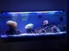 24 Gallon 2013-06-06 - opt.jpg