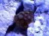 2013-06-06_13-26-56.jpg