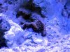 2013-06-07_10-49-05.jpg