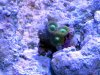 2013-06-07_10-52-32.jpg