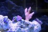 2013-06-06_13-12-29.jpg
