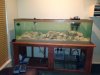 125 gallon.JPG