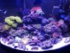 20130610_142725.jpg