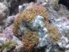 DSC01067.JPG