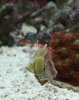 20130613_201745-1.jpg