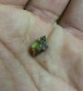 20130613_185034-1.jpg