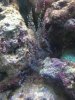 IMG_0067_800x600.JPG