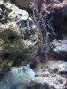 IMG_0069_800x600.JPG