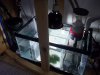 sump 004.jpg