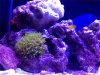 IMG_2866.jpg