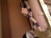 ImageUploadedByTapatalk HD1371677428.765197.jpg