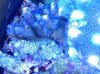 ImageUploadedByTapatalk1371772012.596366.jpg
