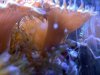 IMG_20130618_202645.jpg
