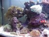 tankset 003.jpg