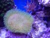 20130620_200605.jpg