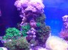 20130620_200653.jpg