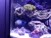 20130619_155709.jpg