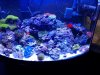 20130624_174631.jpg