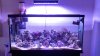 fts.jpeg