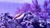 IMG_20130628_081831_087.jpg