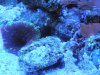 DSCN2018.jpg