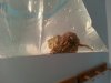 2013-07-02 15.22.07-5.jpg