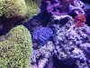 20130712_124704.jpg