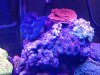 20130605_151809.jpg
