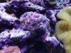 20130712_124657.jpg