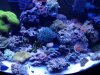 20130614_180801.jpg