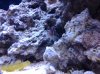 20130713_142448.jpg