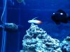 20130713_142300.jpg