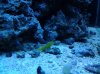 20130713_142420.jpg