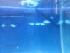 20130713_104844.jpg