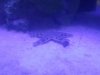 20130713_105629.jpg