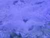 20130713_110712.jpg