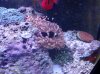 20130714_122822.jpg