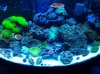 20130513_214036.jpg