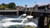 20130718_132041.jpg