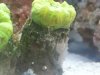 20130727_134336.jpg