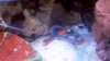 2013-07-28_12-03-40_872.jpg