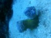 20130803_173738.jpg