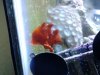 20130806_153110.jpg